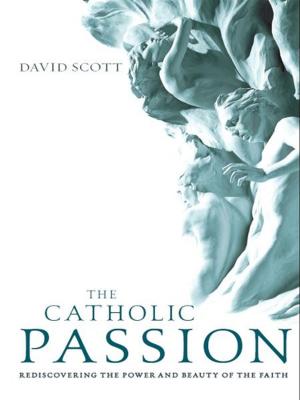 Cover of the book The Catholic Passion by William A. Barry, SJ