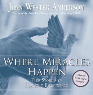 Cover of the book Where Miracles Happen by Father Mark E. Thibodeaux, SJ