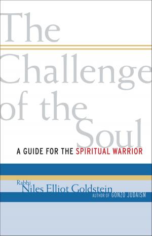Cover of the book The Challenge of the Soul by Ezra Bayda