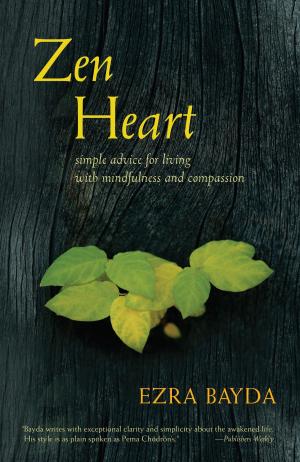 Cover of the book Zen Heart by Richard Shrobe