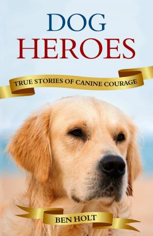 Cover of the book Dog Heroes: True Stories of Canine Courage by Alan Davies, Ruth Miller