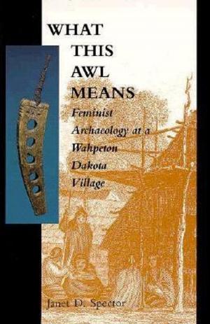 Cover of the book What This Awl Means by Sarah Stonich