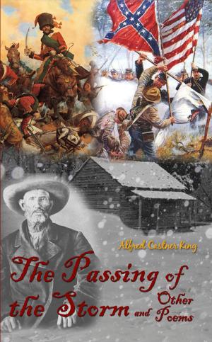 Cover of the book The Passing Of The Storm by Pat Jourdan
