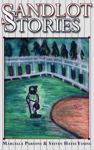 Cover of the book Sandlot Stories by Don Tate