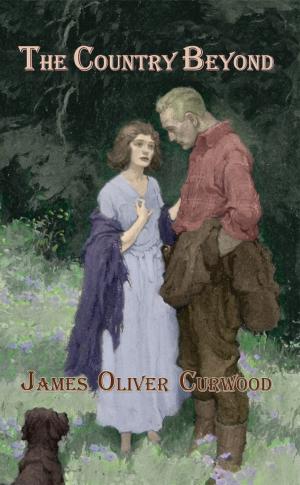 Book cover of The Country Beyond