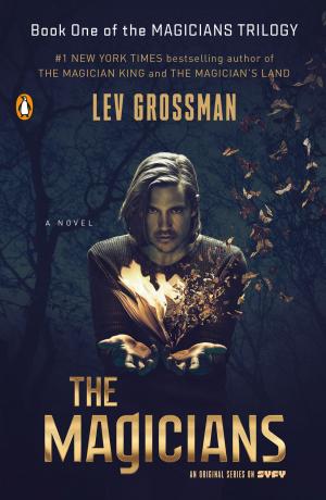 Cover of the book The Magicians by L.A. Fiore