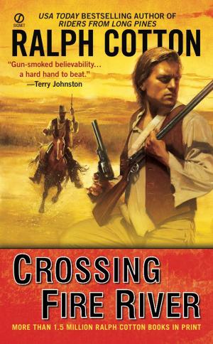 Cover of the book Crossing Fire River by Trudy Nan Boyce