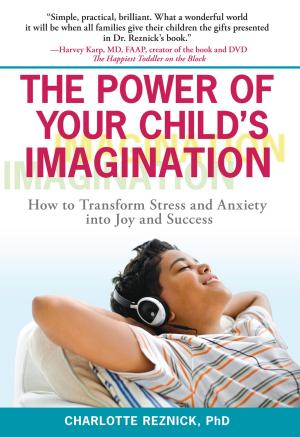 Book cover of The Power of Your Child's Imagination
