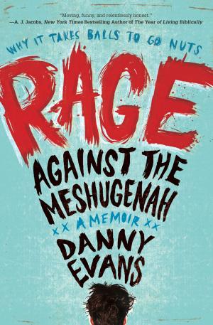 Cover of the book Rage Against the Meshugenah by Maggie Newcomb