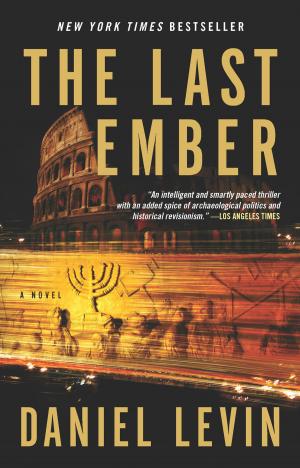Cover of the book The Last Ember by Jennifer Swift
