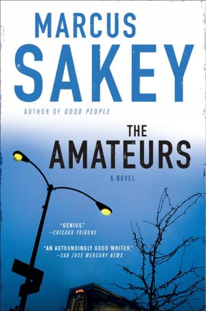 Cover of the book The Amateurs by C.J. Barry