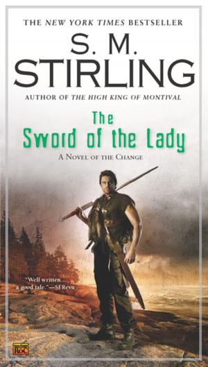 Cover of the book The Sword of the Lady by Erin McCarthy