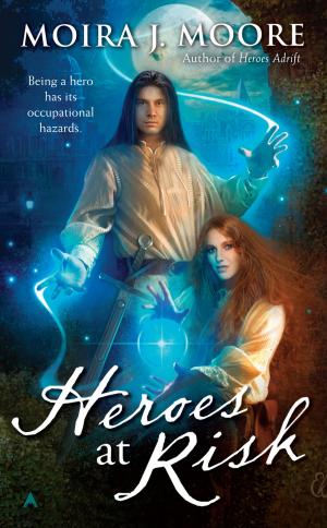 Book cover of Heroes at Risk