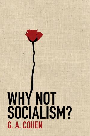 Cover of the book Why Not Socialism? by Ian Goldin, Geoffrey Cameron, Meera Balarajan