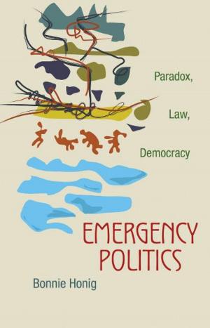 Cover of the book Emergency Politics by Winnifred Fallers Sullivan