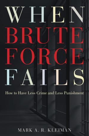 Cover of the book When Brute Force Fails by Yirmiyahu Yovel