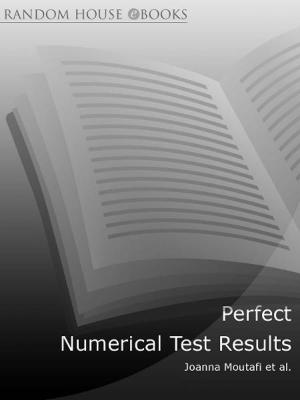 Cover of the book Perfect Numerical Test Results by Christian Schwarz