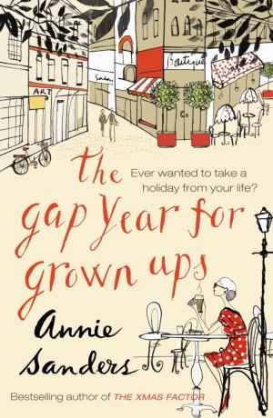 Cover of the book The Gap Year For Grown-Ups by DJ Target