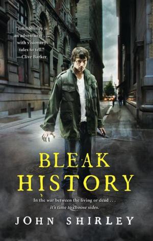 Cover of the book Bleak History by Joan Medlicott