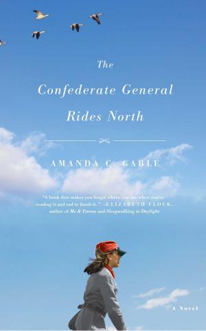 Cover of the book The Confederate General Rides North by Megan Mayhew Bergman