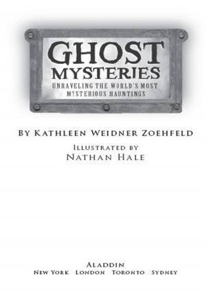 Cover of the book Ghost Mysteries by Jenny Lundquist