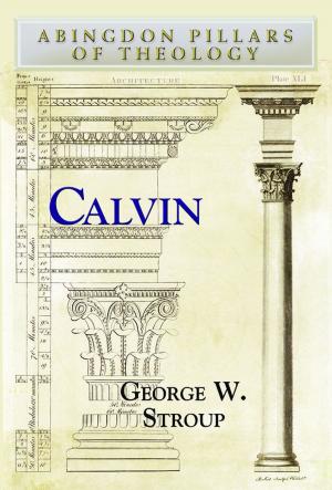 Cover of the book Calvin by Moore, James W.