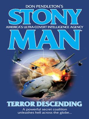 Cover of the book Terror Descending by Alex Archer