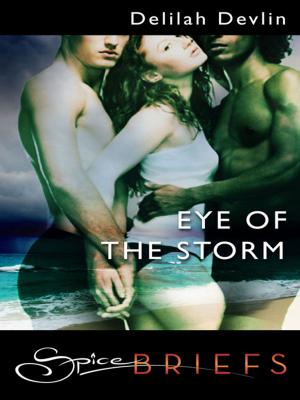Cover of the book Eye of the Storm by Vanessa Wu