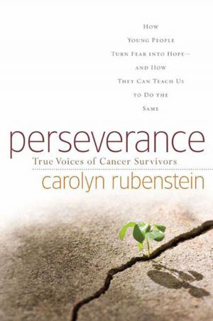 Cover of the book Perseverance by Caroline Stevermer