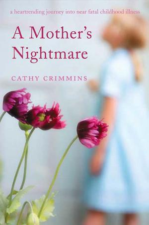 Book cover of A Mother's Nightmare