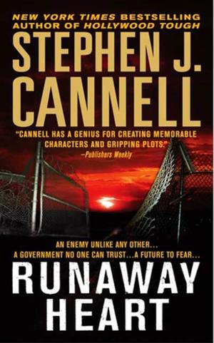 Cover of the book Runaway Heart by Janice T. Connell