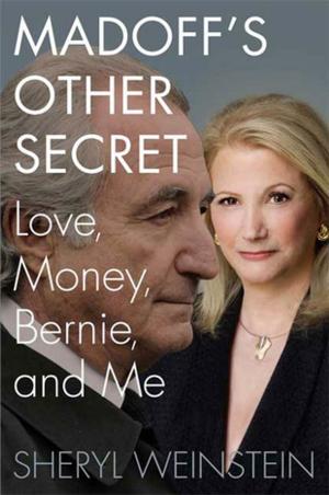 Cover of the book Madoff's Other Secret by David Bowker