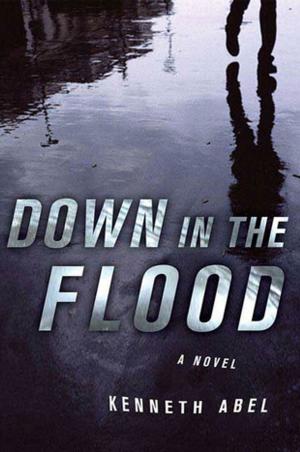 Cover of the book Down in the Flood by Donna Andrews