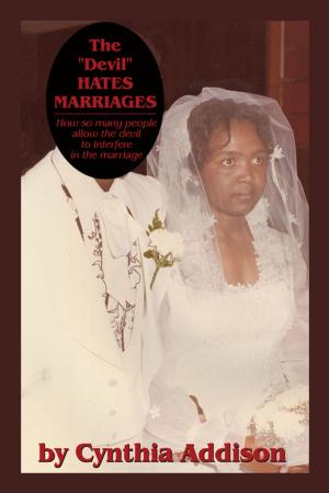 Cover of the book The "Devil" Hates Marriages by Rolf D. Hawkins, Neil L. Hawkins