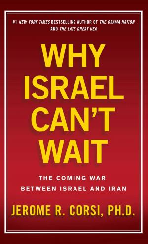 Cover of the book Why Israel Can't Wait by Don Kisner