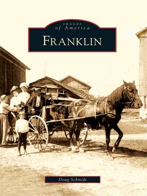 Cover of the book Franklin by George M. Walker & John Peragine