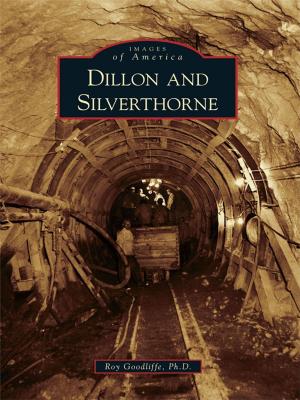 Cover of the book Dillon and Silverthorne by David Lee Poremba