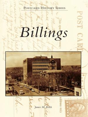 Cover of the book Billings by Warren W. Jenkins