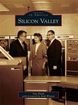 Cover of the book Silicon Valley by M. Anna Fariello, Kate Rubick