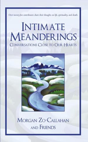 Cover of the book Intimate Meanderings by T. R. Granville, J. L. Ritchie