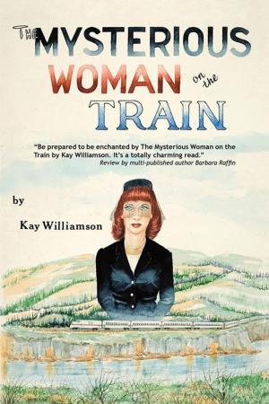 Cover of the book The Mysterious Woman on the Train by Joseph John Szymanski