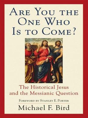 Cover of the book Are You the One Who Is to Come? by Mary Connealy