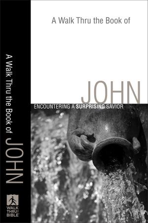 Cover of the book A Walk Thru the Book of John (Walk Thru the Bible Discussion Guides) by Jill Eileen Smith