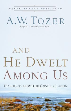 Cover of the book And He Dwelt Among Us by Dale Cramer
