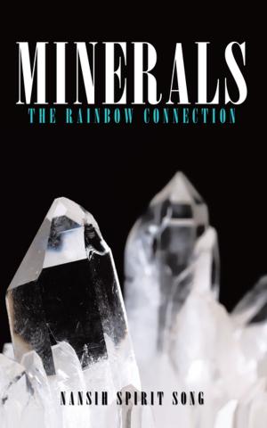 Cover of the book Minerals: the Rainbow Connection by Joel Terry May