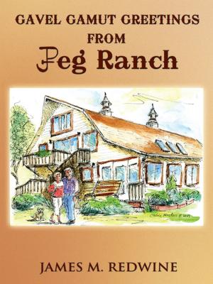 Cover of the book Gavel Gamut Greetings from Jpeg Ranch by Christine Shelton