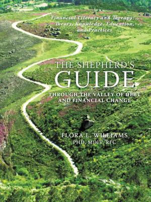 Cover of the book The Shepherd's Guide Through the Valley of Debt and Financial Change by Michael Heidecke