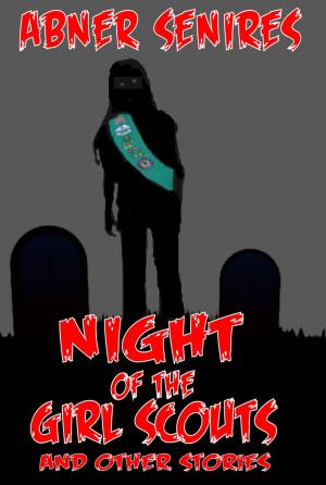 Cover of the book Night of the Girl Scouts And Other Stories by G. Stephen Renfrey