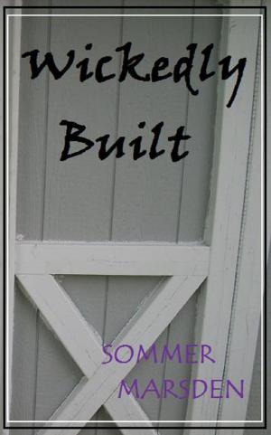 Cover of Wickedly Built