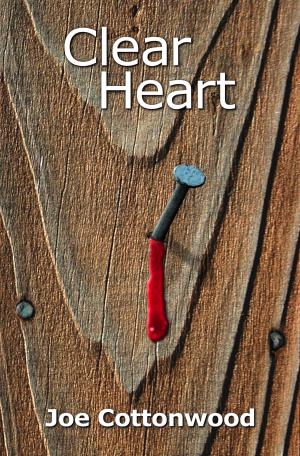 Cover of the book Clear Heart by Anne Emerick